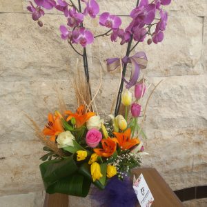 orkide arajmanlar kutuda