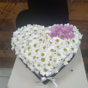 Kalp kutuda Papatya Arajman